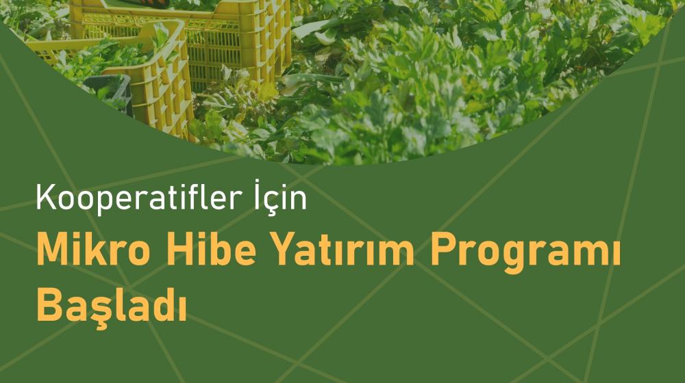 Mikro Ölçekli Yatırım Programı Teklif Çağrısı