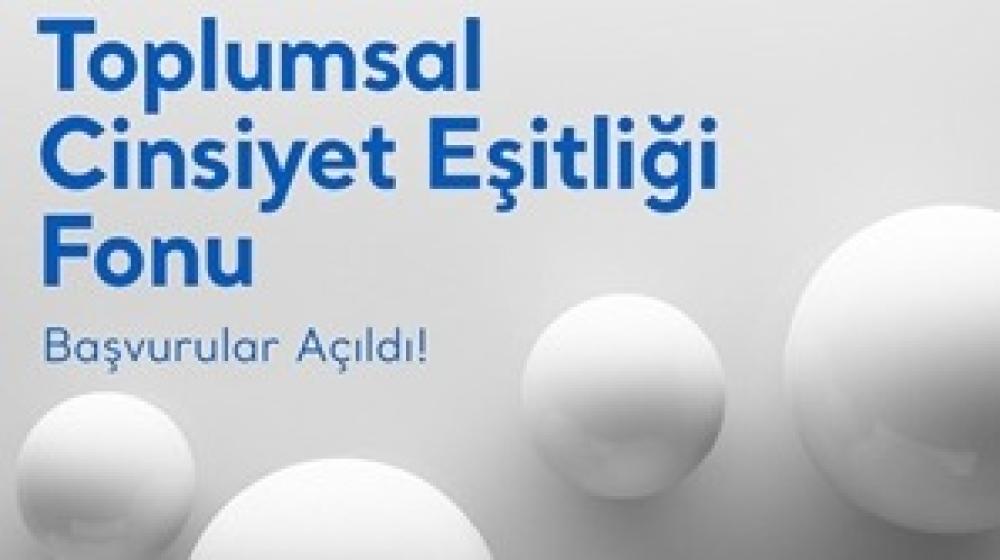 Toplumsal Cinsiyet Eşitliği Fonu’nun 2025 Dönemi Başvuruları Başladı